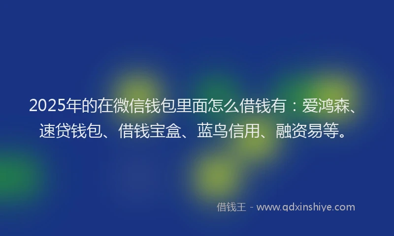 2025年的在微信钱包里面怎么借钱有：爱鸿森、速贷钱包、借钱宝盒、蓝鸟信用、融资易等。