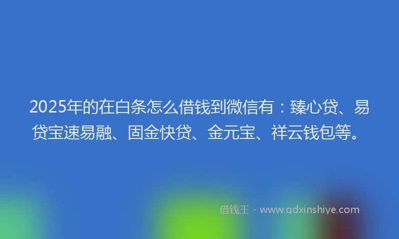 2025年的在白条怎么借钱到微信有：臻心贷、易贷宝速易融、固金快贷、金元宝、祥云钱包等。