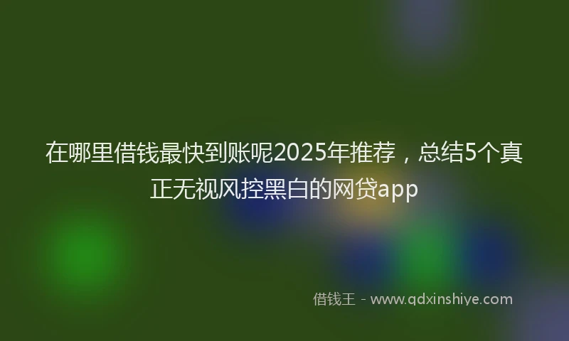 在哪里借钱最快到账呢2025年推荐，总结5个真正无视风控黑白的网贷app