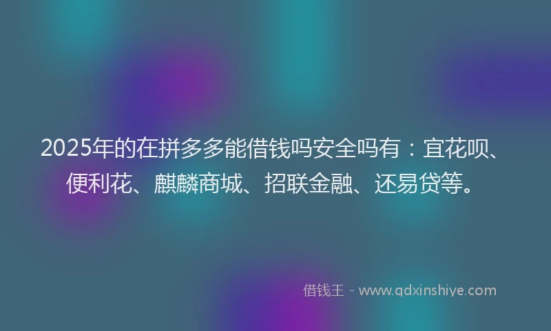 2025年的在拼多多能借钱吗安全吗有：宜花呗、便利花、麒麟商城、招联金融、还易贷等。
