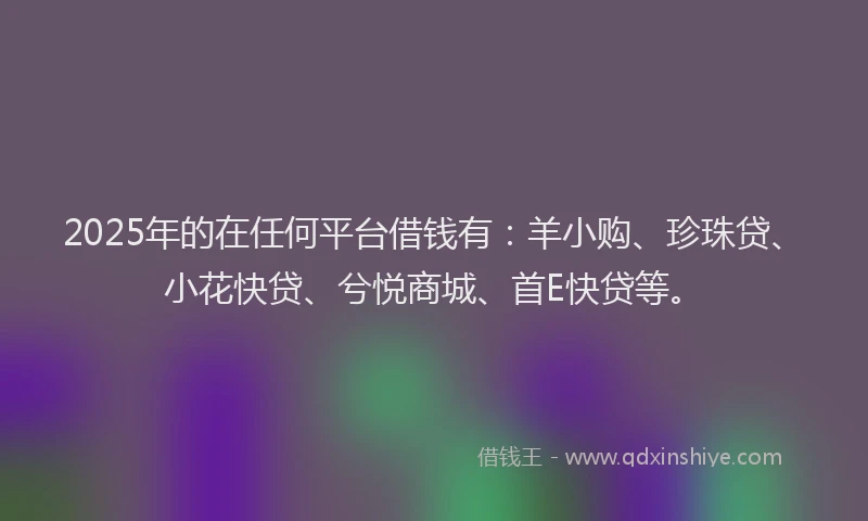 2025年的在任何平台借钱有：羊小购、珍珠贷、小花快贷、兮悦商城、首E快贷等。