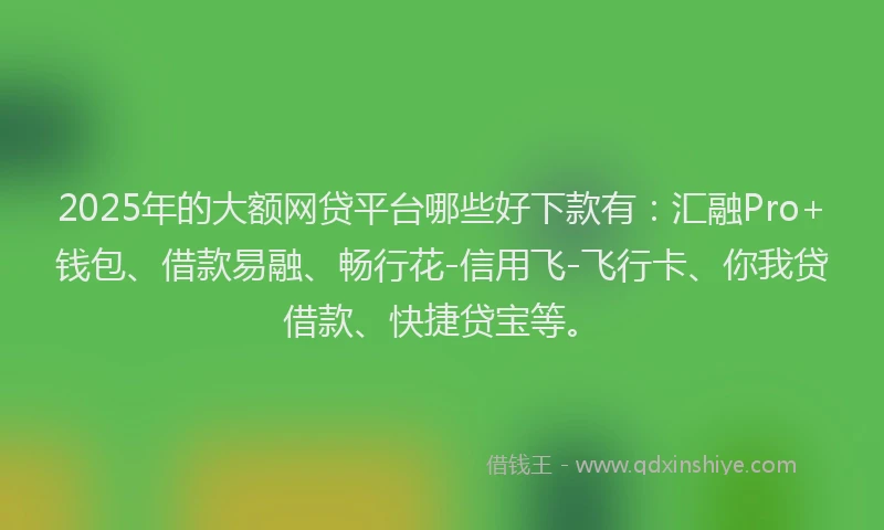 2025年的大额网贷平台哪些好下款有：汇融Pro+钱包、借款易融、畅行花-信用飞-飞行卡、你我贷借款、快捷贷宝等。