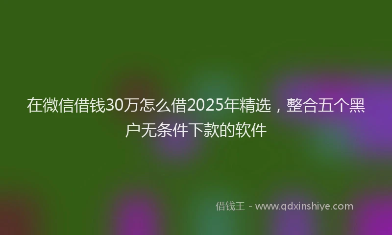在微信借钱30万怎么借2025年精选，整合五个黑户无条件下款的软件