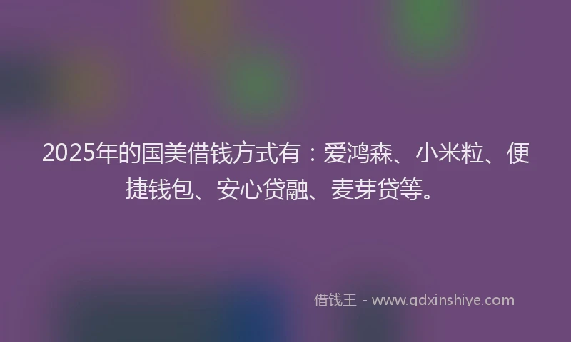 2025年的国美借钱方式有：爱鸿森、小米粒、便捷钱包、安心贷融、麦芽贷等。