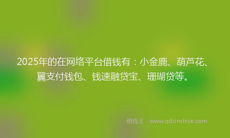 2025年的在网络平台借钱有：小金鹿、葫芦花、翼支付钱包、钱速融贷宝、珊瑚贷等。