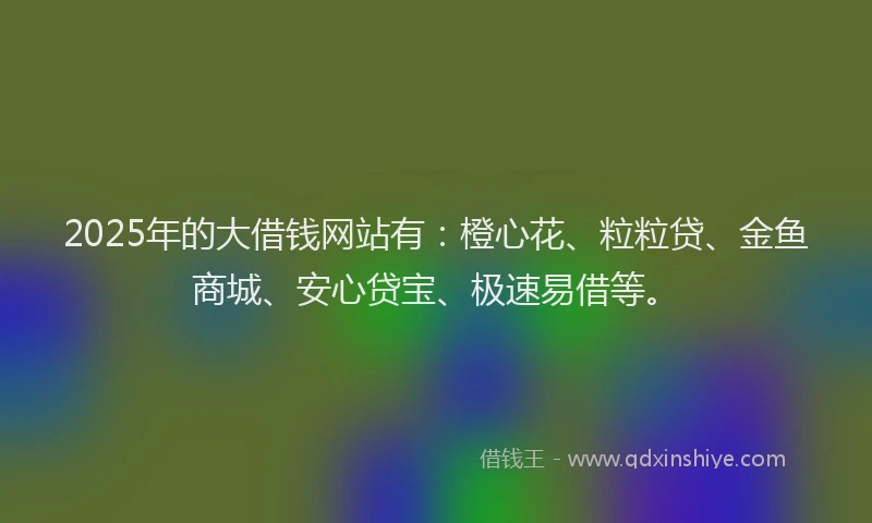 2025年的大借钱网站有：橙心花、粒粒贷、金鱼商城、安心贷宝、极速易借等。