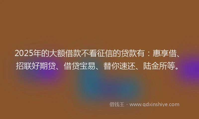 2025年的大额借款不看征信的贷款有：惠享借、招联好期贷、借贷宝易、替你速还、陆金所等。