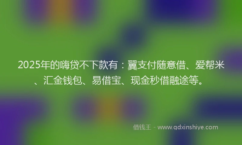 2025年的嗨贷不下款有：翼支付随意借、爱帮米、汇金钱包、易借宝、现金秒借融途等。