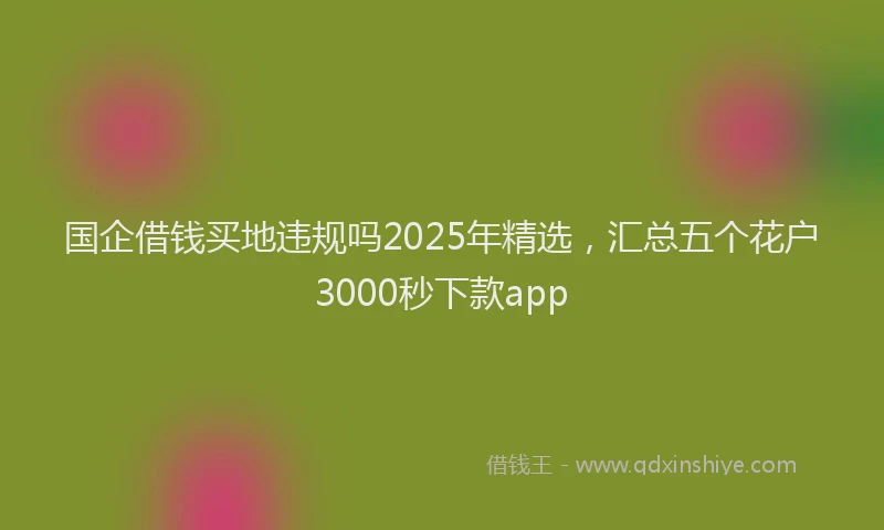 国企借钱买地违规吗2025年精选，汇总五个花户3000秒下款app