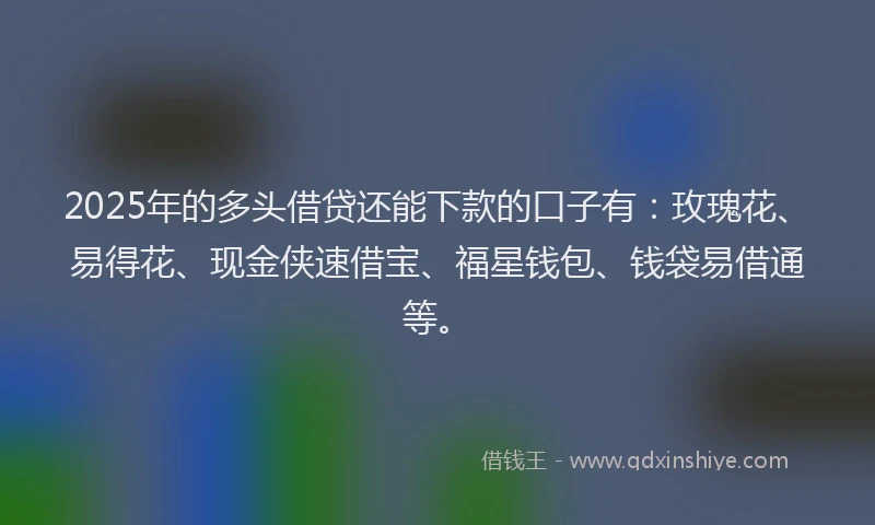 2025年的多头借贷还能下款的口子有：玫瑰花、易得花、现金侠速借宝、福星钱包、钱袋易借通等。