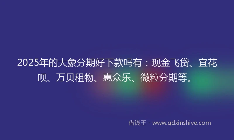 2025年的大象分期好下款吗有：现金飞贷、宜花呗、万贝租物、惠众乐、微粒分期等。
