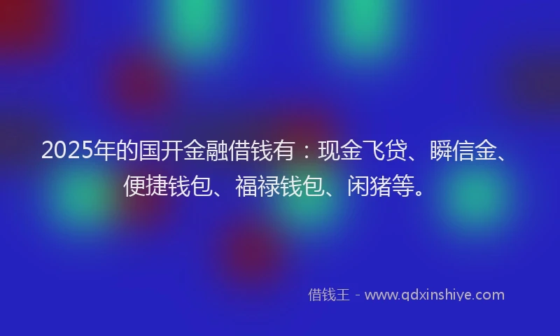 2025年的国开金融借钱有：现金飞贷、瞬信金、便捷钱包、福禄钱包、闲猪等。