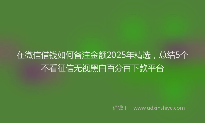 在微信借钱如何备注金额2025年精选，总结5个不看征信无视黑白百分百下款平台