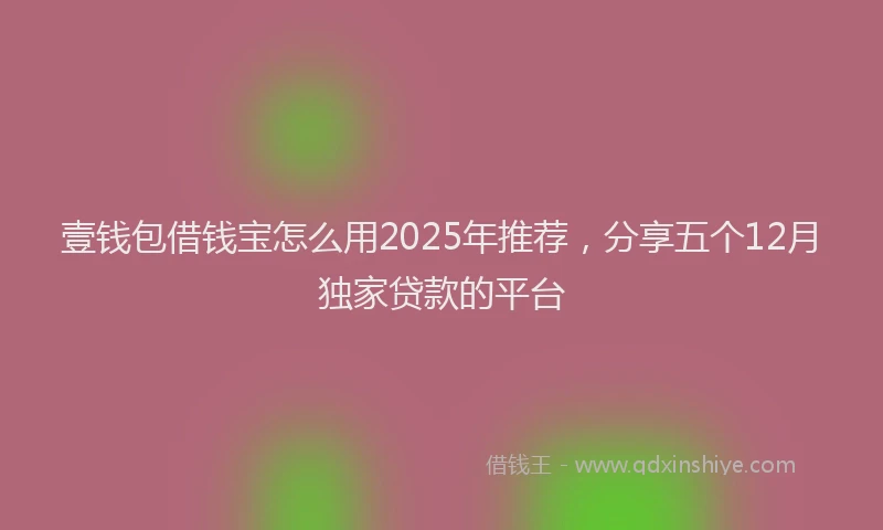 壹钱包借钱宝怎么用2025年推荐，分享五个12月独家贷款的平台
