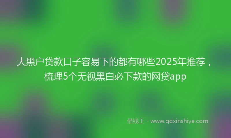 大黑户贷款口子容易下的都有哪些2025年推荐，梳理5个无视黑白必下款的网贷app