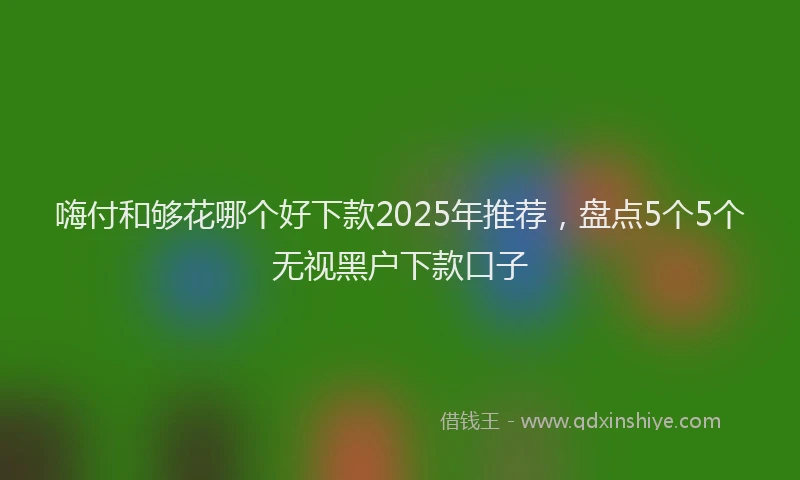 嗨付和够花哪个好下款2025年推荐，盘点5个5个无视黑户下款口子