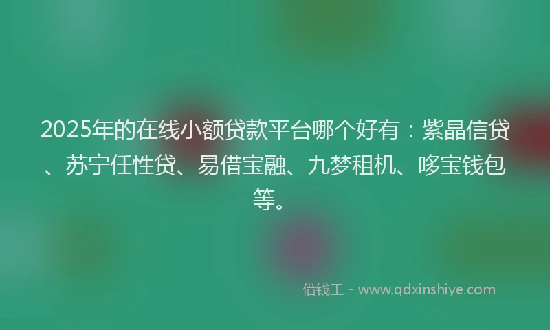 2025年的在线小额贷款平台哪个好有：紫晶信贷、苏宁任性贷、易借宝融、九梦租机、哆宝钱包等。