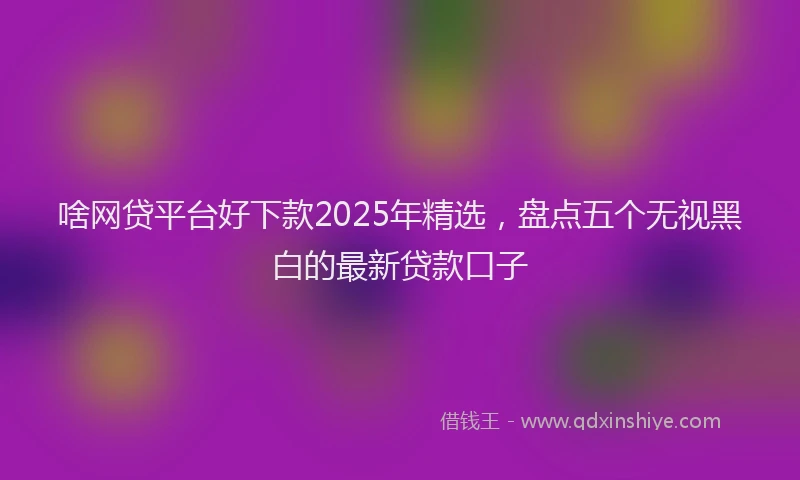 啥网贷平台好下款2025年精选，盘点五个无视黑白的最新贷款口子