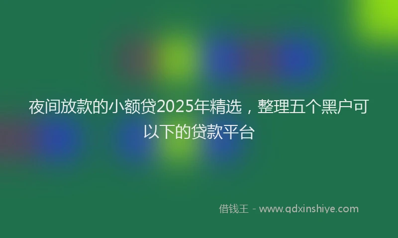 夜间放款的小额贷2025年精选，整理五个黑户可以下的贷款平台