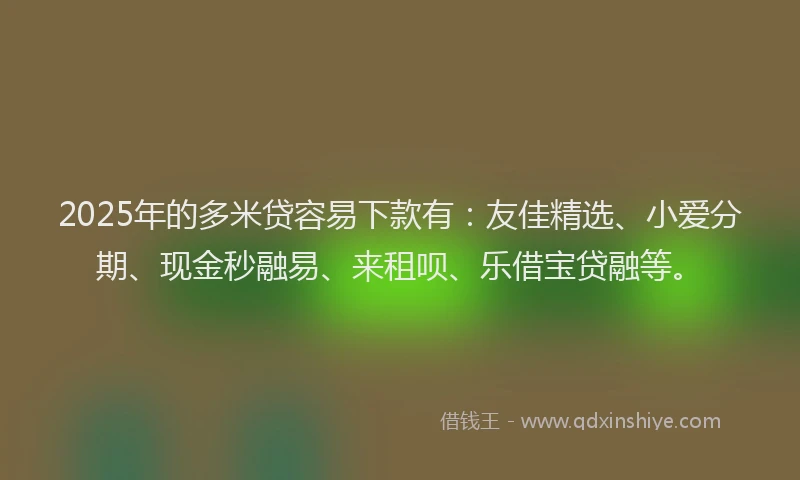 2025年的多米贷容易下款有：友佳精选、小爱分期、现金秒融易、来租呗、乐借宝贷融等。