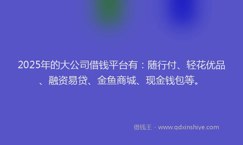 2025年的大公司借钱平台有：随行付、轻花优品、融资易贷、金鱼商城、现金钱包等。
