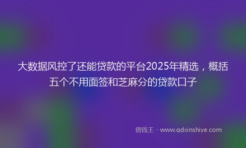 大数据风控了还能贷款的平台2025年精选，概括五个不用面签和芝麻分的贷款口子
