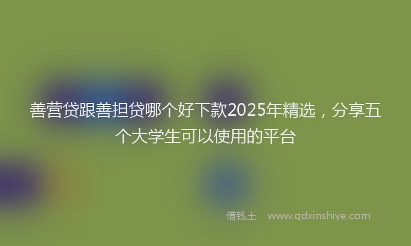 善营贷跟善担贷哪个好下款2025年精选，分享五个大学生可以使用的平台