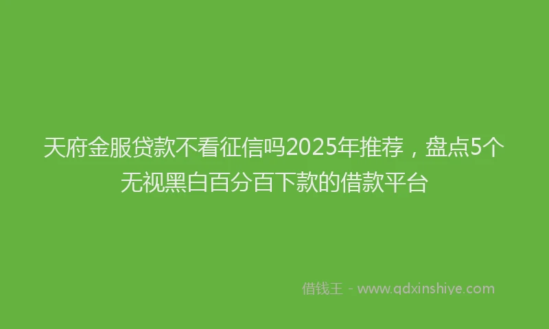 天府金服贷款不看征信吗2025年推荐，盘点5个无视黑白百分百下款的借款平台