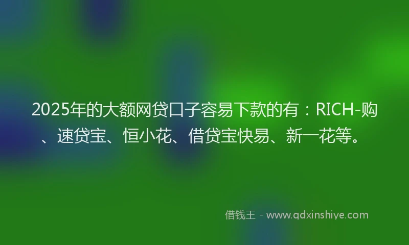 2025年的大额网贷口子容易下款的有：RICH-购、速贷宝、恒小花、借贷宝快易、新一花等。