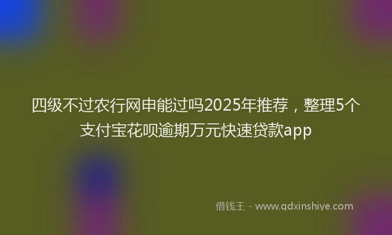 四级不过农行网申能过吗2025年推荐，整理5个支付宝花呗逾期万元快速贷款app