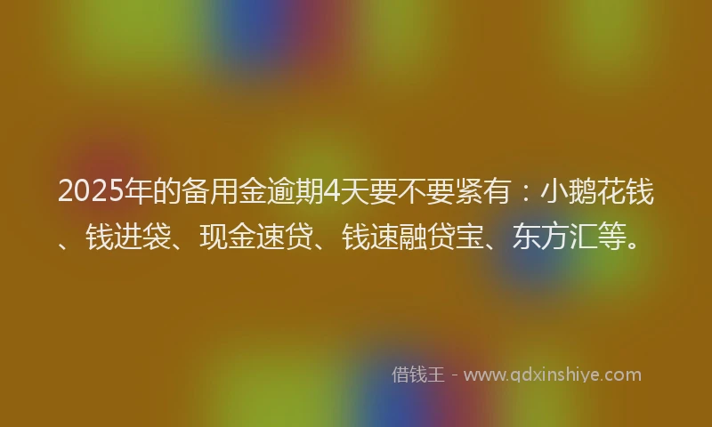 2025年的备用金逾期4天要不要紧有:小鹅花钱、钱进袋、现金速贷、钱速融贷宝、东方汇等。