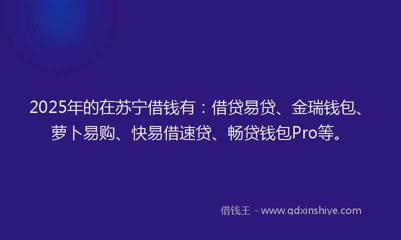 2025年的在苏宁借钱有：借贷易贷、金瑞钱包、萝卜易购、快易借速贷、畅贷钱包Pro等。