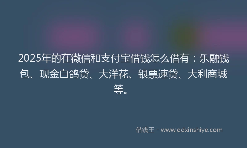 2025年的在微信和支付宝借钱怎么借有：乐融钱包、现金白鸽贷、大洋花、银票速贷、大利商城等。