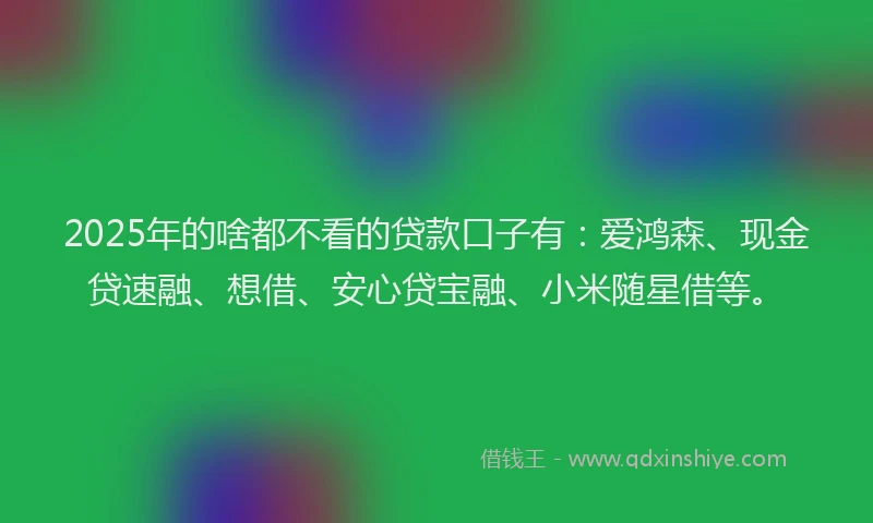 2025年的啥都不看的贷款口子有：爱鸿森、现金贷速融、想借、安心贷宝融、小米随星借等。