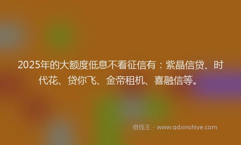 2025年的大额度低息不看征信有：紫晶信贷、时代花、贷你飞、金帝租机、喜融信等。