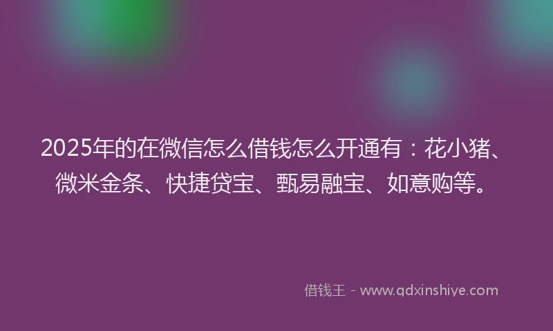 2025年的在微信怎么借钱怎么开通有：花小猪、微米金条、快捷贷宝、甄易融宝、如意购等。