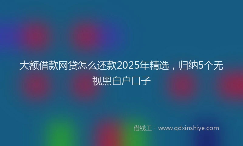 大额借款网贷怎么还款2025年精选，归纳5个无视黑白户口子