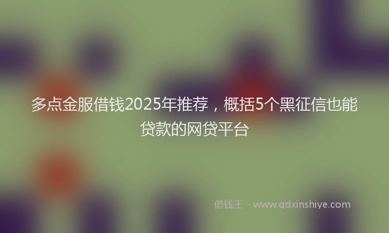 多点金服借钱2025年推荐，概括5个黑征信也能贷款的网贷平台