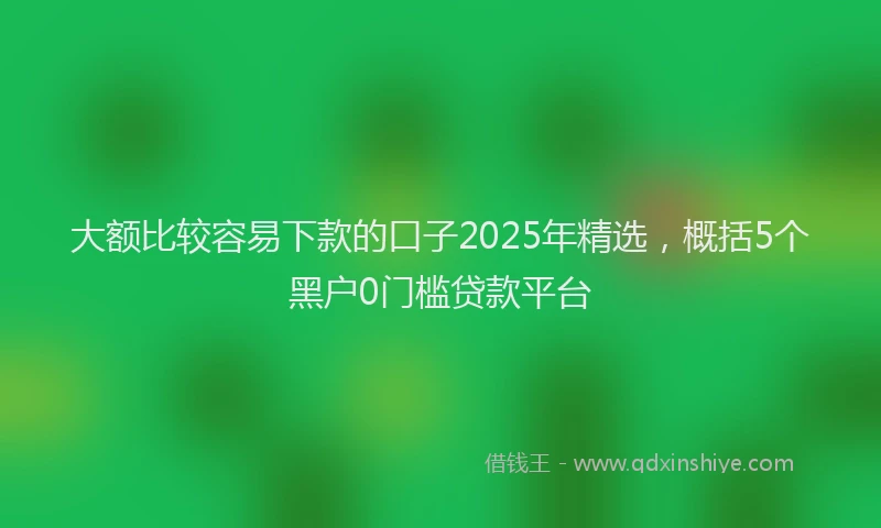 大额比较容易下款的口子2025年精选，概括5个黑户0门槛贷款平台