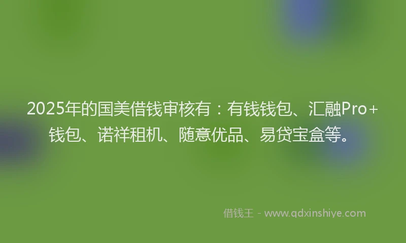 2025年的国美借钱审核有：有钱钱包、汇融Pro+钱包、诺祥租机、随意优品、易贷宝盒等。