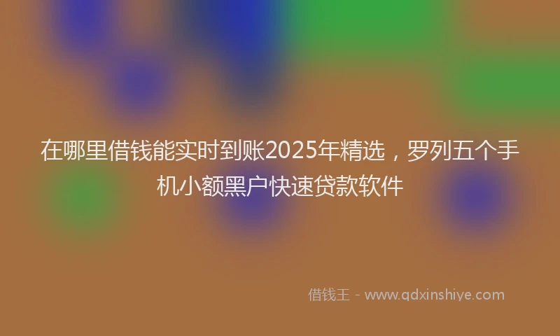 在哪里借钱能实时到账2025年精选，罗列五个手机小额黑户快速贷款软件
