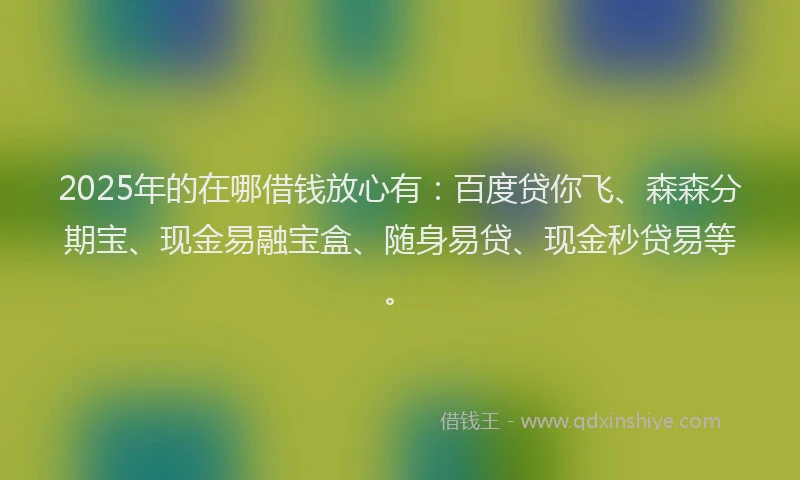 2025年的在哪借钱放心有：百度贷你飞、森森分期宝、现金易融宝盒、随身易贷、现金秒贷易等。
