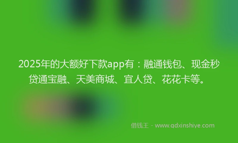 2025年的大额好下款app有：融通钱包、现金秒贷通宝融、天美商城、宜人贷、花花卡等。
