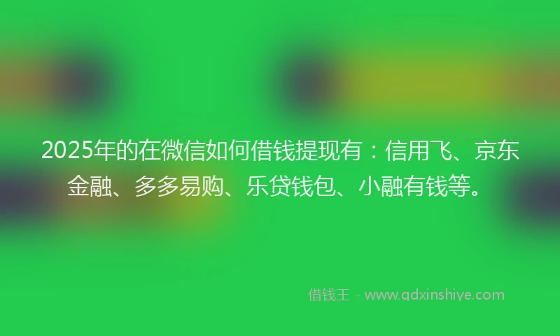2025年的在微信如何借钱提现有：信用飞、京东金融、多多易购、乐贷钱包、小融有钱等。