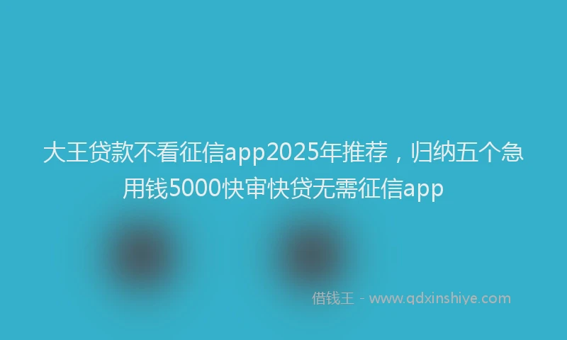 大王贷款不看征信app2025年推荐，归纳五个急用钱5000快审快贷无需征信app