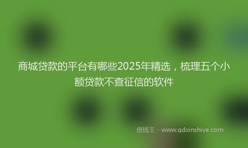商城贷款的平台有哪些2025年精选，梳理五个小额贷款不查征信的软件