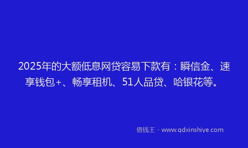 2025年的大额低息网贷容易下款有：瞬信金、速享钱包+、畅享租机、51人品贷、哈银花等。