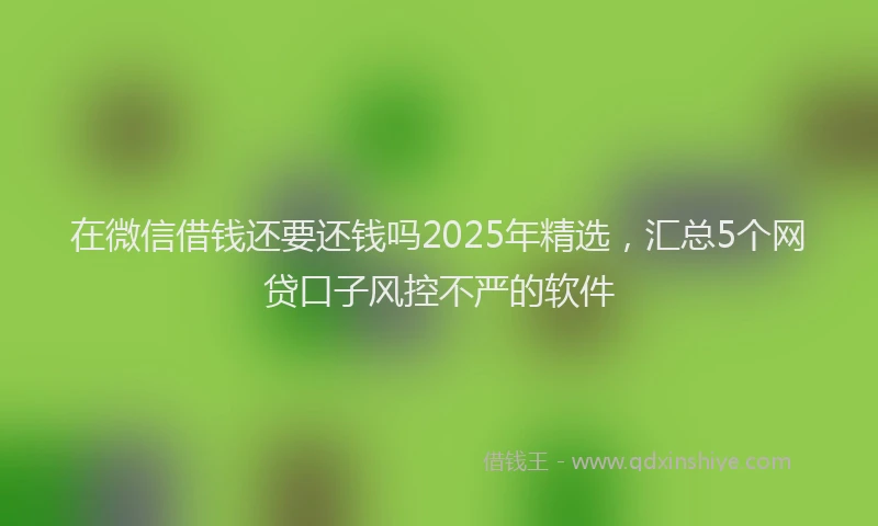 在微信借钱还要还钱吗2025年精选，汇总5个网贷口子风控不严的软件
