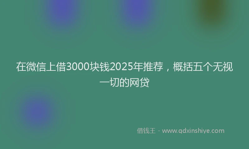 在微信上借3000块钱2025年推荐，概括五个无视一切的网贷