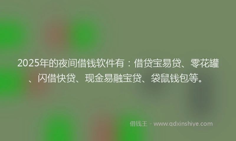 2025年的夜间借钱软件有：借贷宝易贷、零花罐、闪借快贷、现金易融宝贷、袋鼠钱包等。